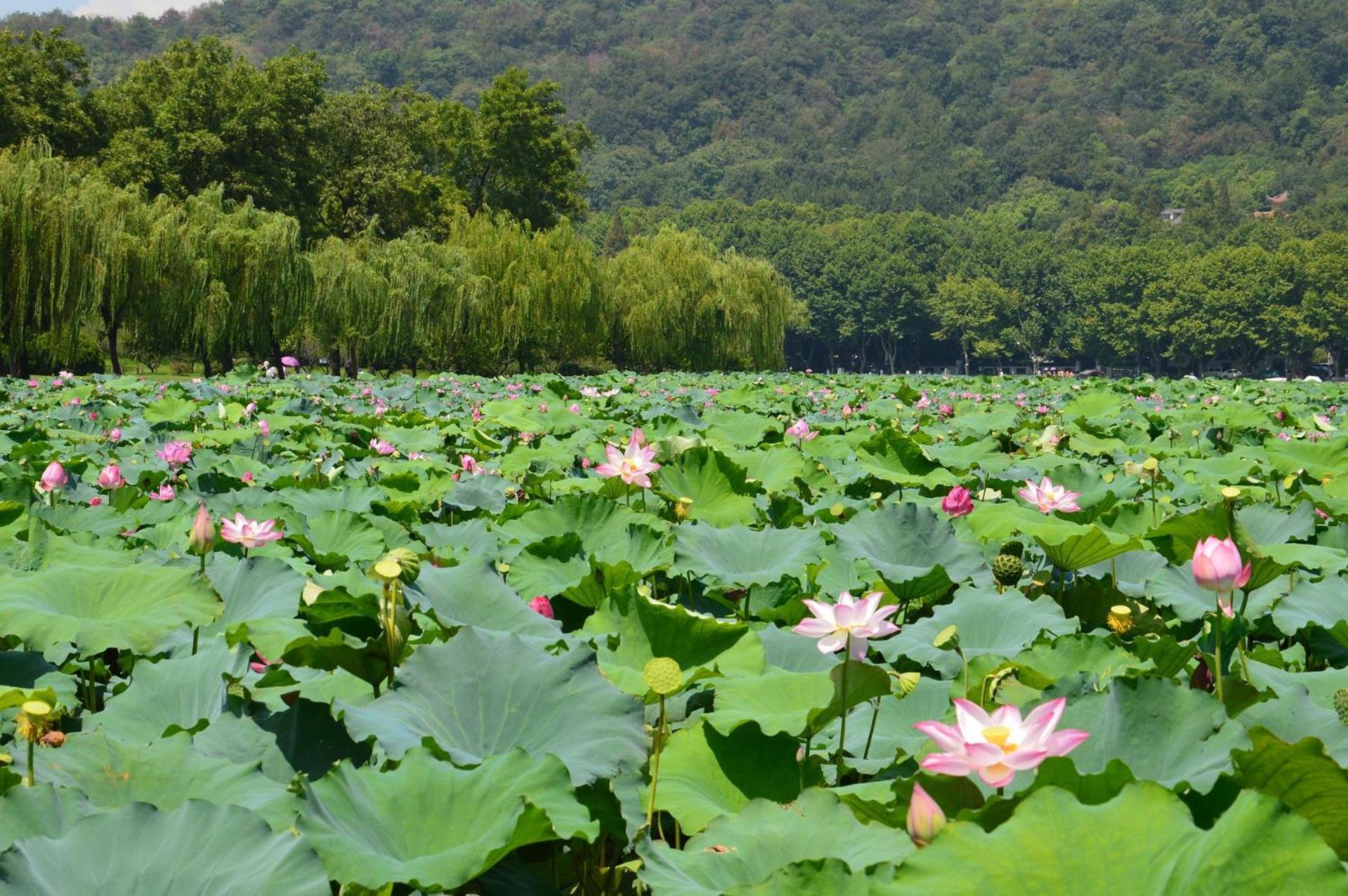 הנגז'ו Nost Algia S Hotel In The West Lake Scenic Area-,Lingyin Temple, Leifeng Tower, Children'S Playground, Free Night Snack, Free Laundry, English Communication Well, Free Travel Advice מראה חיצוני תמונה